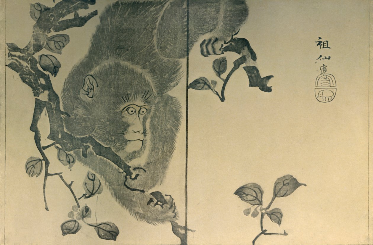 Monkey by Mori Sosen
