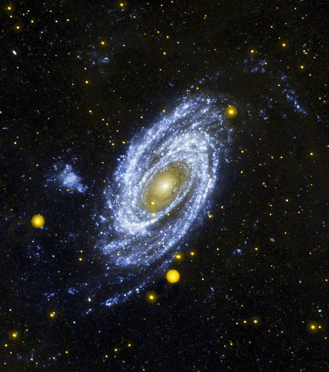 Spiral Galaxy M81 viewed from the Hubble Space Telescope by National Aeronautics and Space Administration National Aeronautics and Space Administration