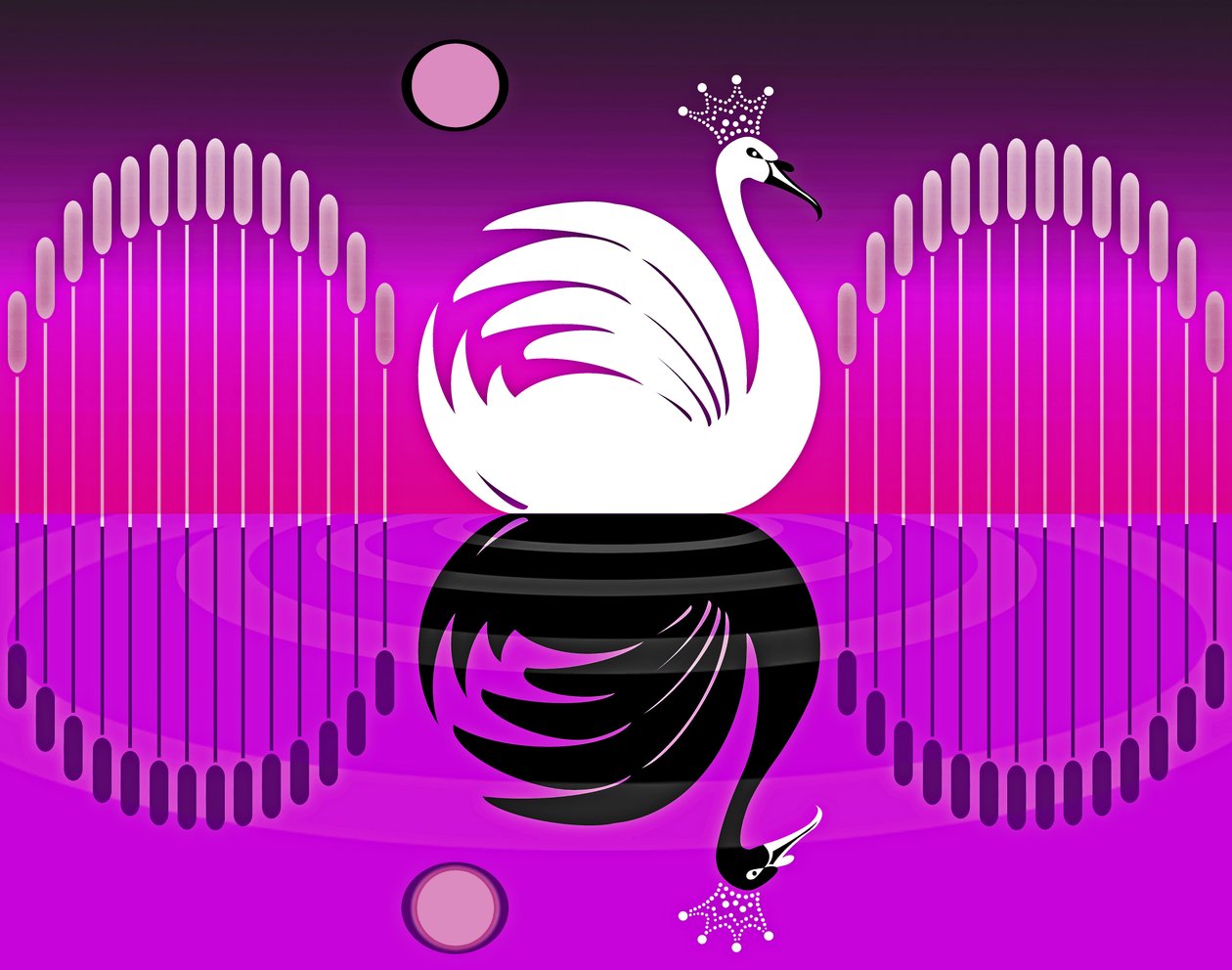 Swan Lake III by Neale Osborne