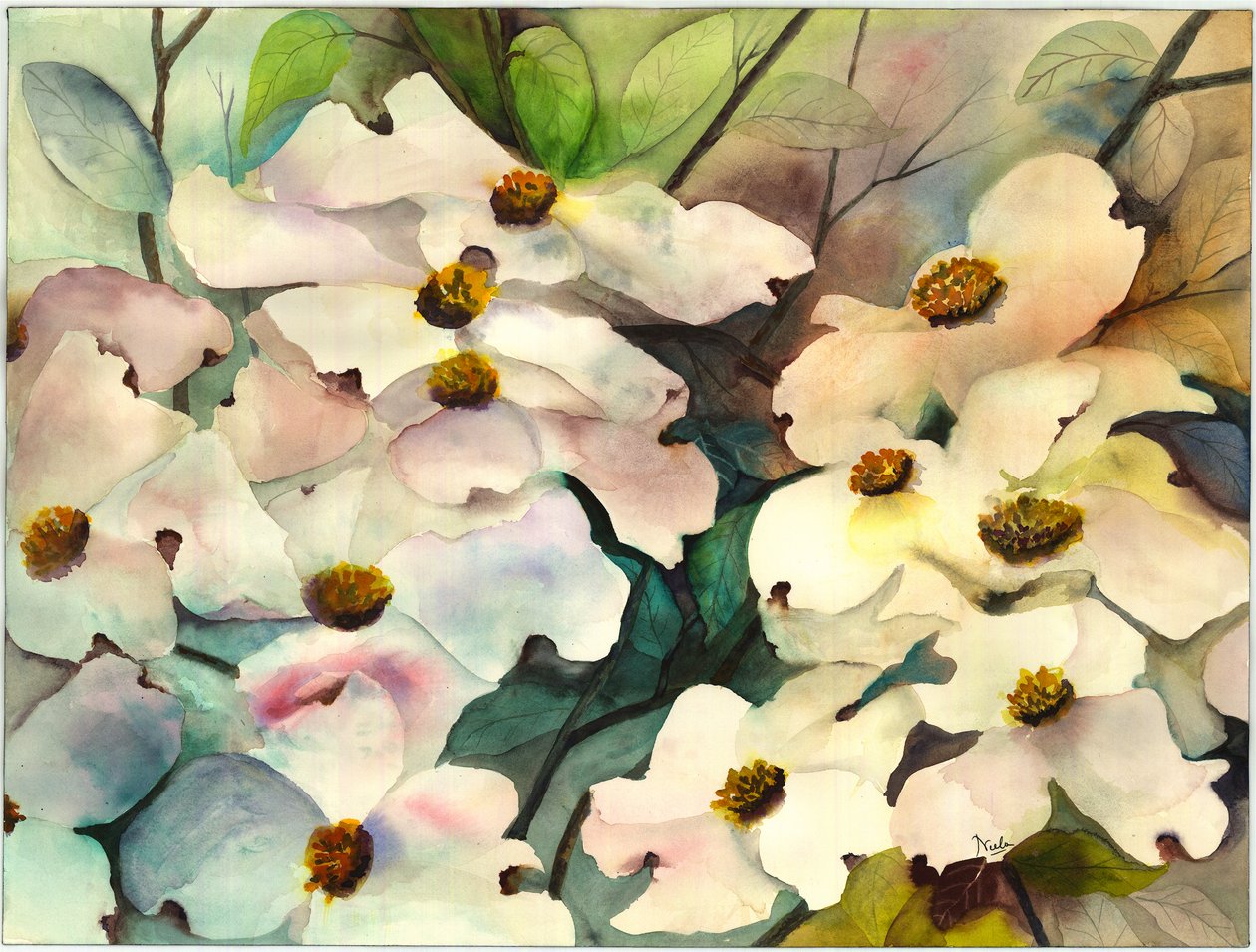 Dogwood by Neela Pushparaj