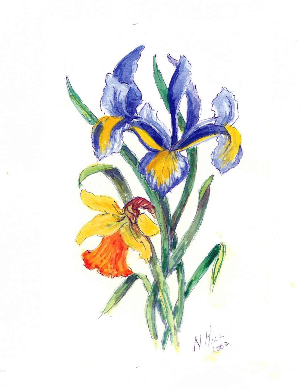 Blue Iris and Daffodil by Nell Hill