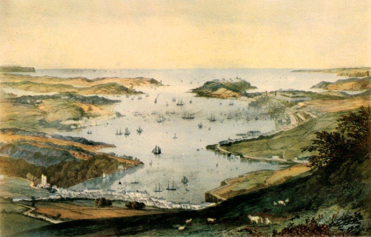 Falmouth Harbour by Newman and Co