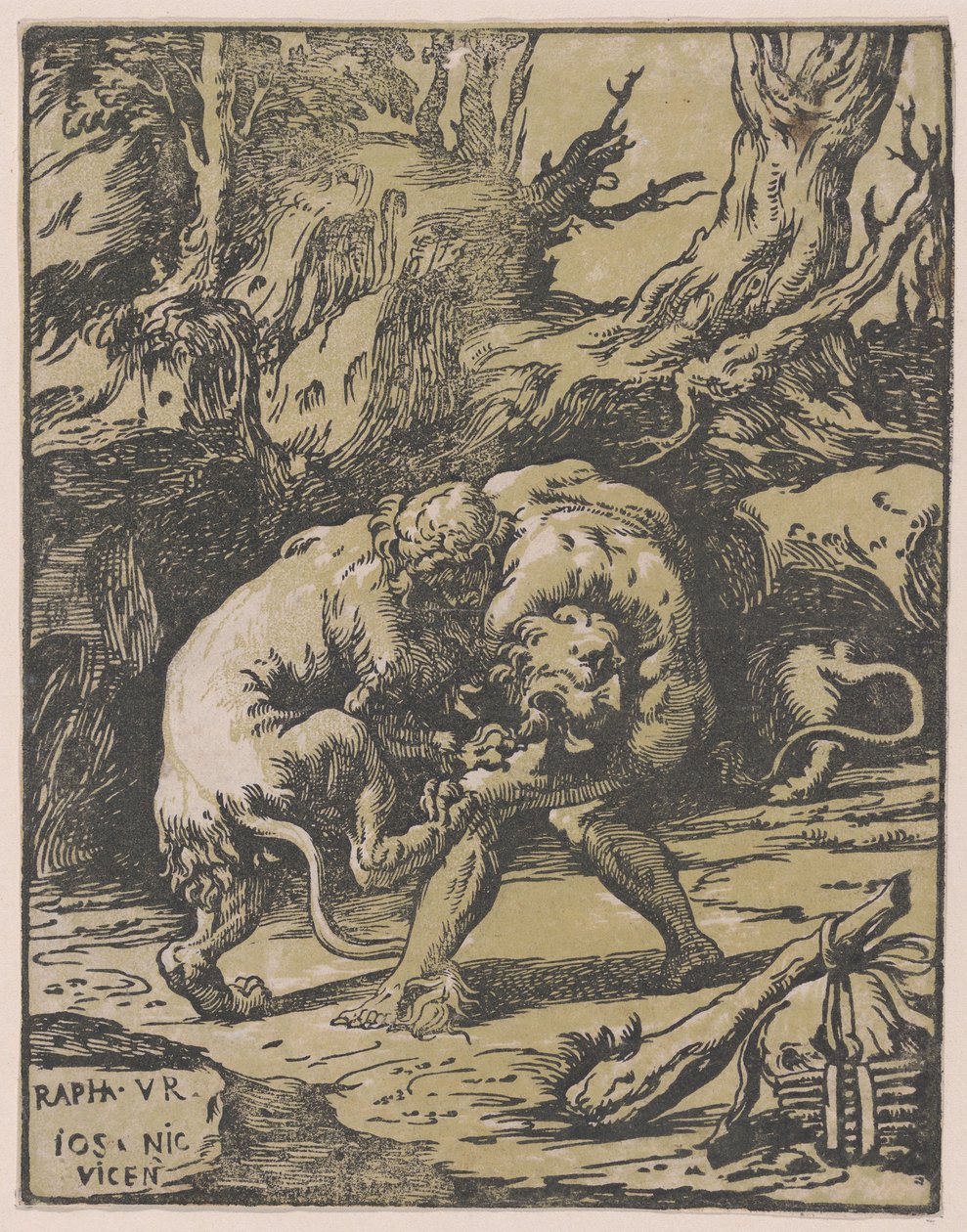 Hercules and the Nemean Lion by Niccolo Vicentino