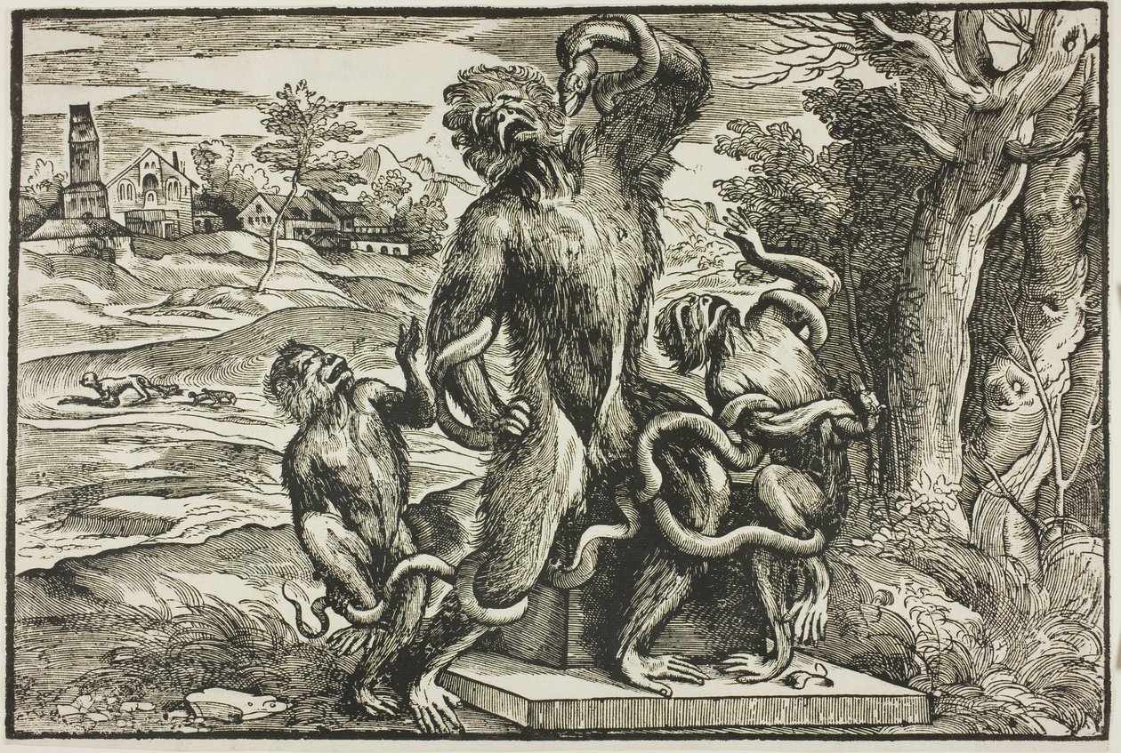 Laocoön by Nicolò Boldrini
