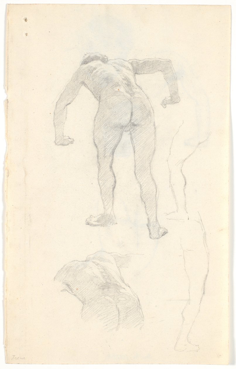 Model Study by Niels Skovgaard