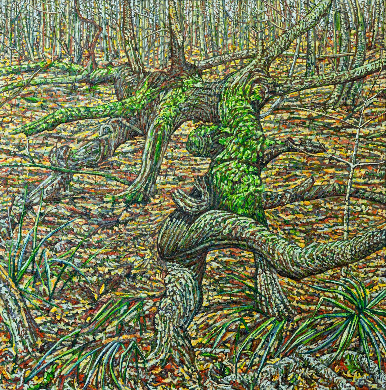 Autumn Tors by Noel Paine