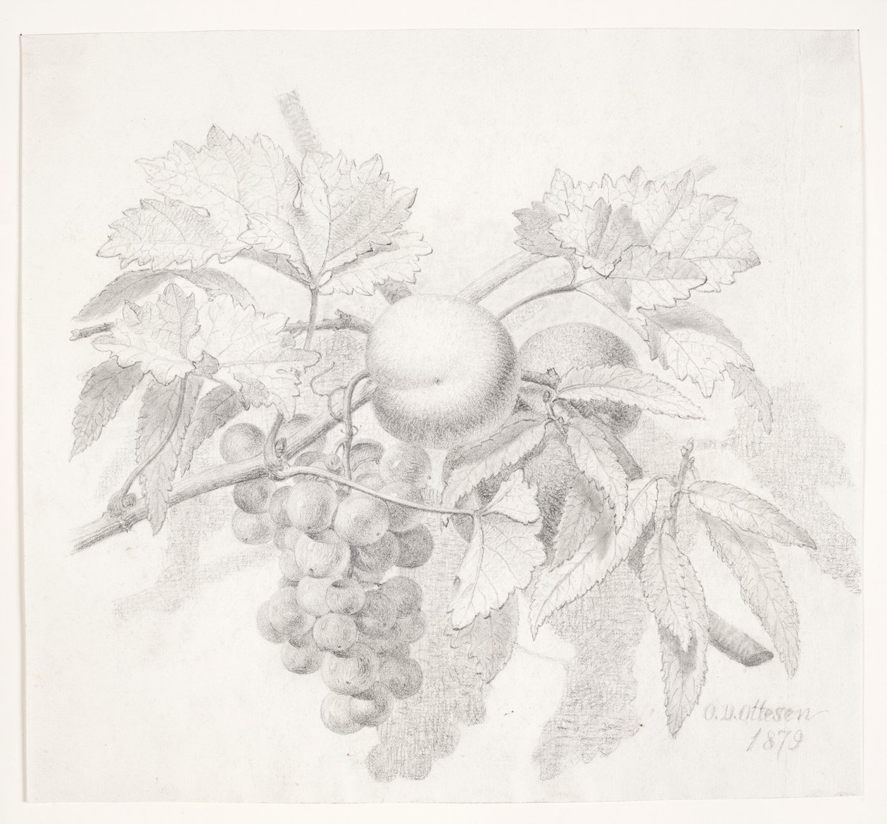 Grapes and Peaches by O.D. Ottesen