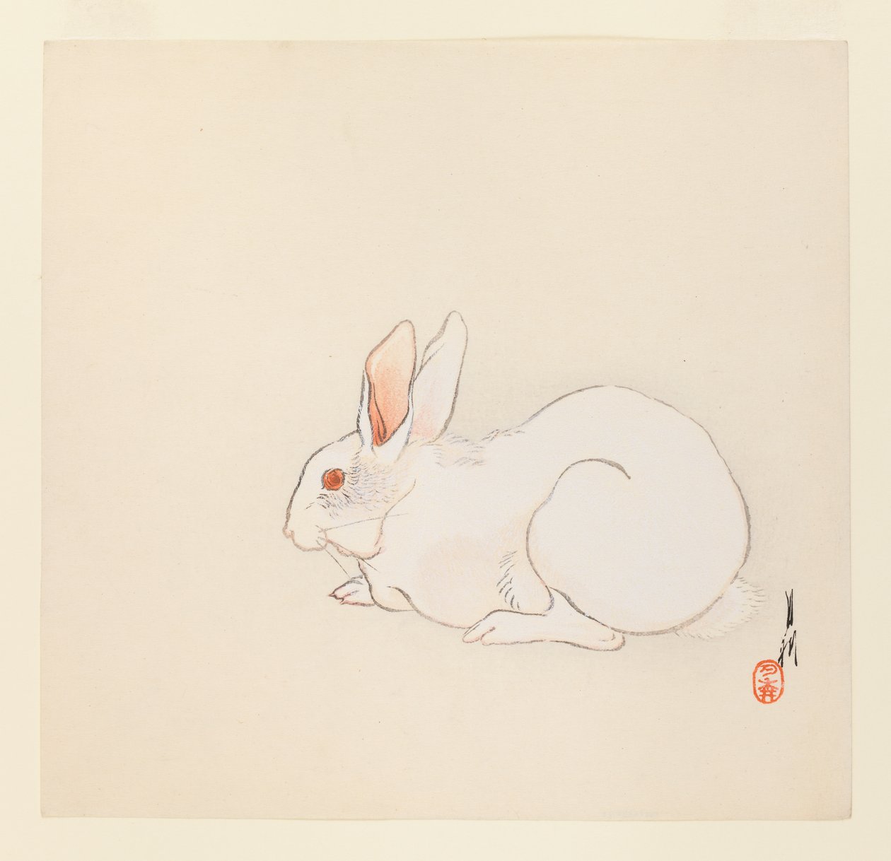 White Rabbit by Ogata Gekko