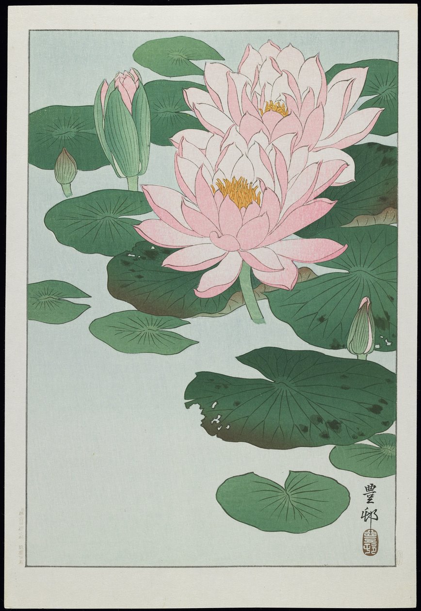 Water Lily by Ohara Koson