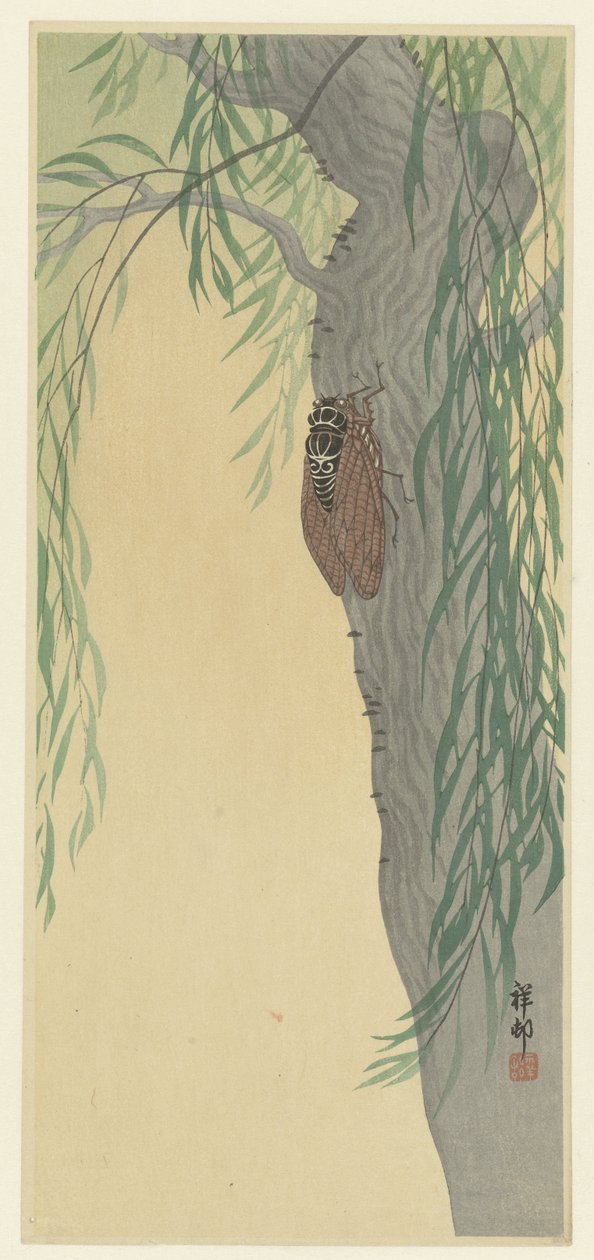 Cicada on Tree by Ohara Koson
