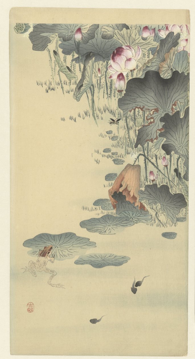 Frog and Tadpoles by Ohara Koson