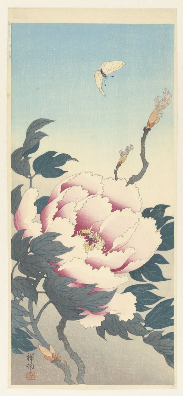 Peony and a Butterfly by Ohara Koson