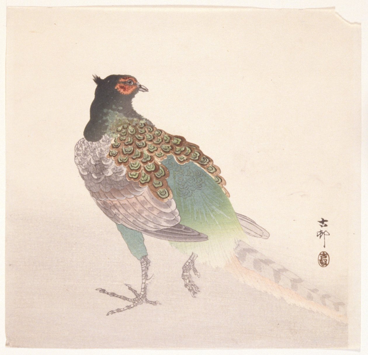 Pheasant by Ohara Koson