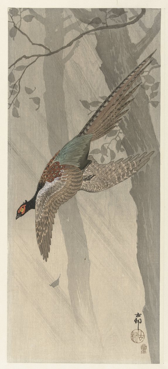 Flying Pheasant by Ohara Koson