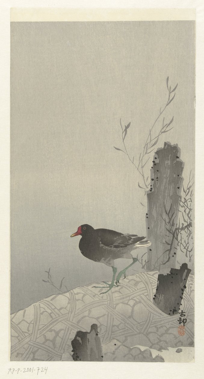 Moorhen by Ohara Koson