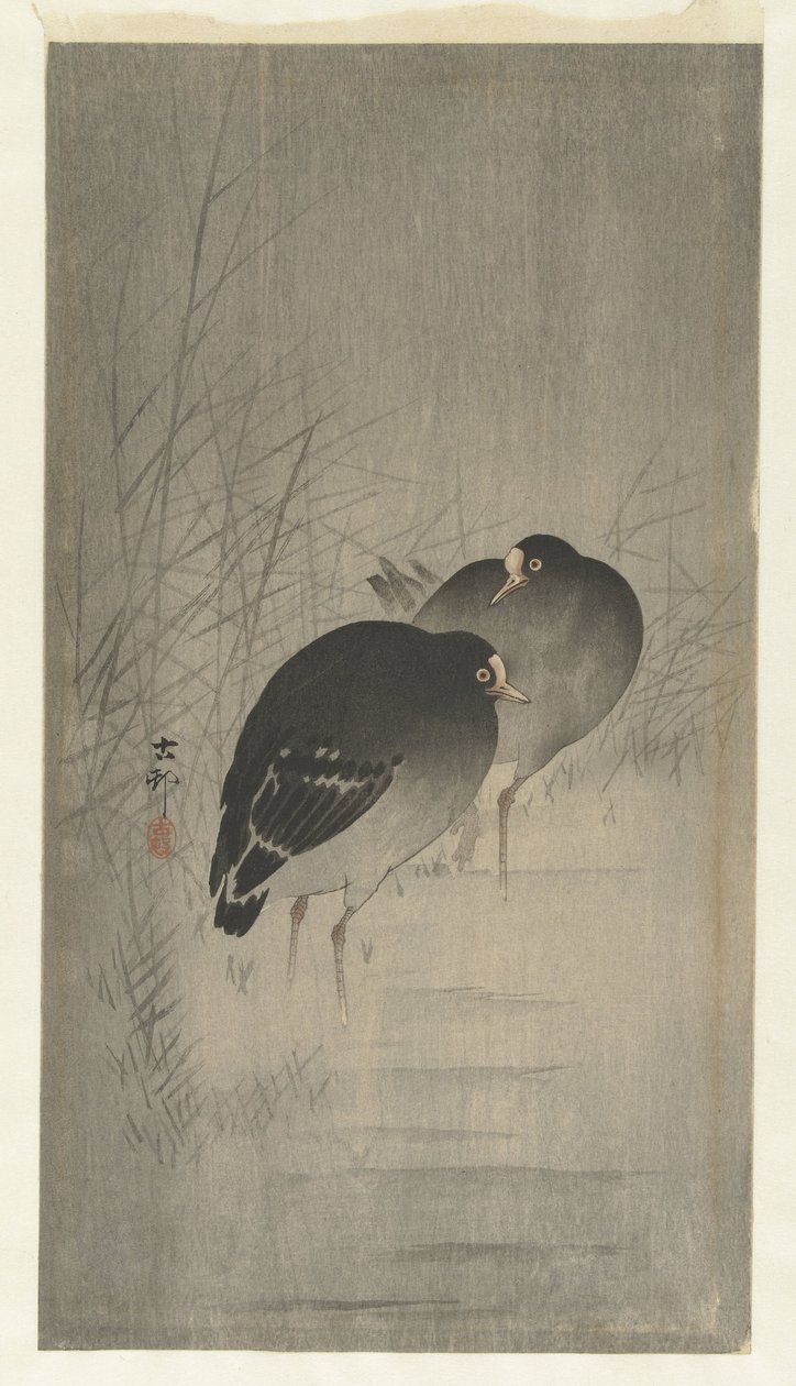 Moorhens Among Reeds by Ohara Koson