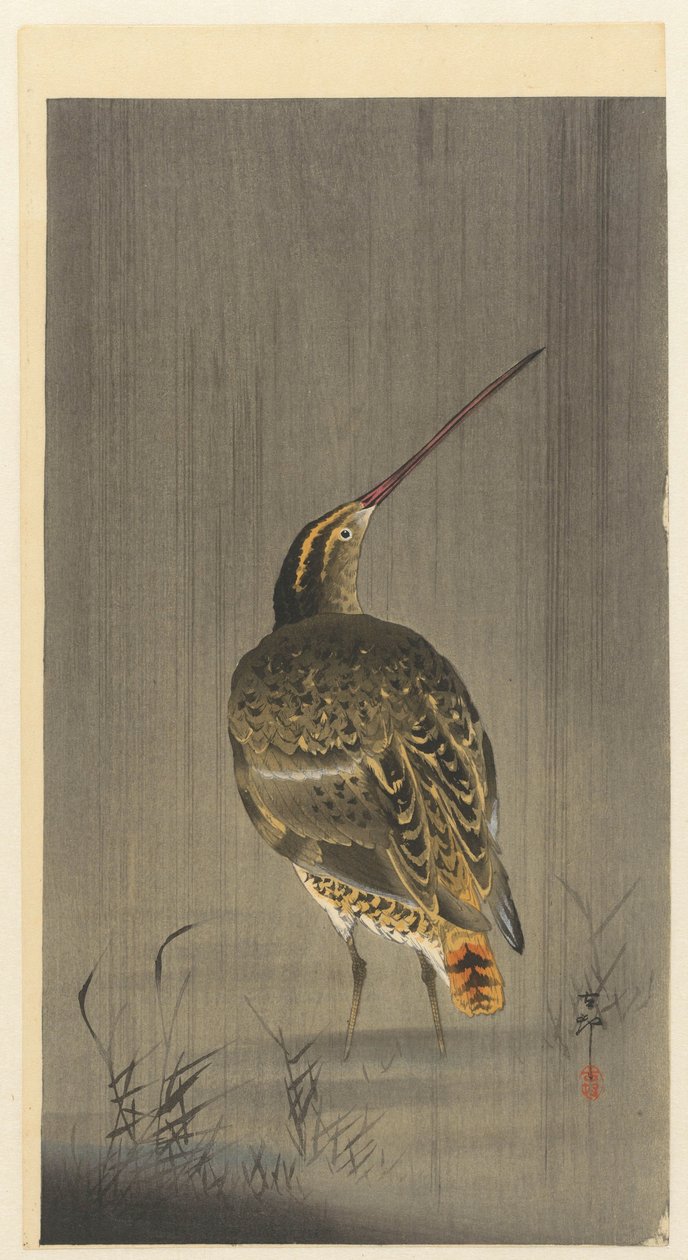 Snipe in the Rain by Ohara Koson