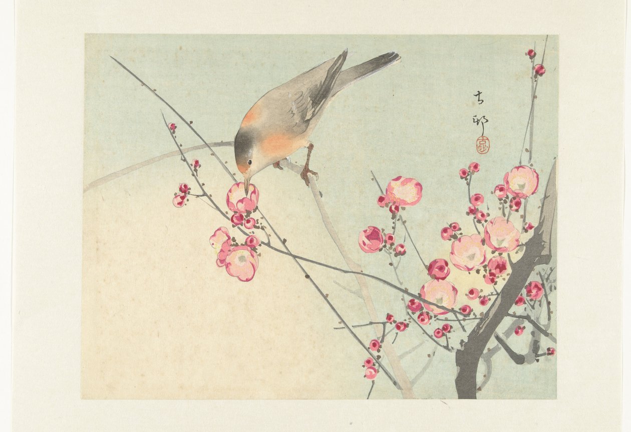 Songbird on Blossom Branch by Ohara Koson