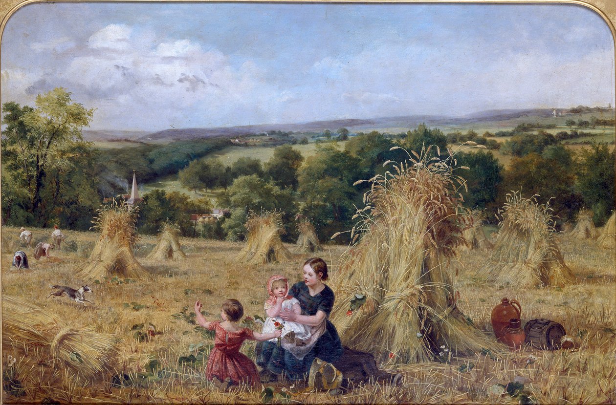The Harvest Field by Oliver Lupton