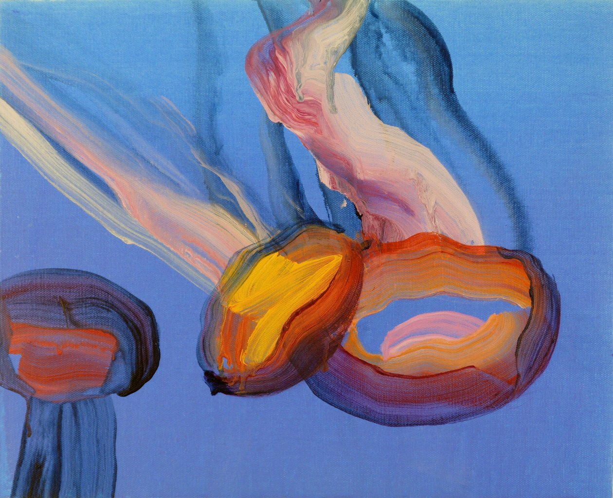 Jellyfish 11, 2013 by Olivier Morel