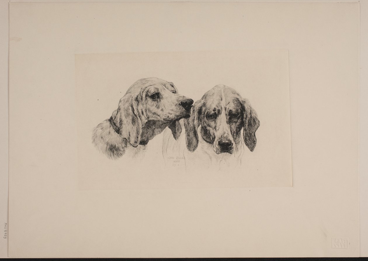 Two Dog Heads by Otto Bache