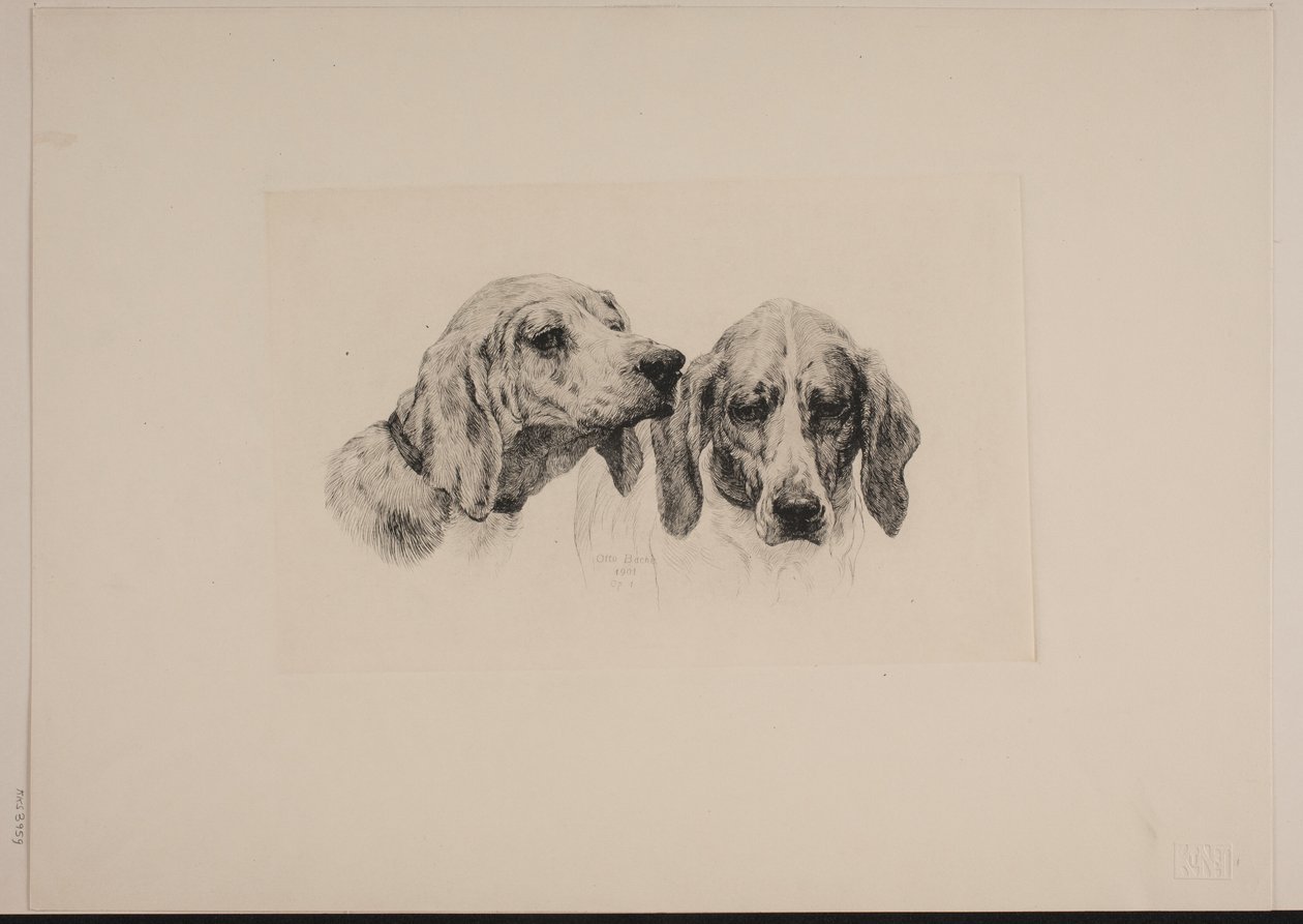 Two Dog Heads by Otto Bache