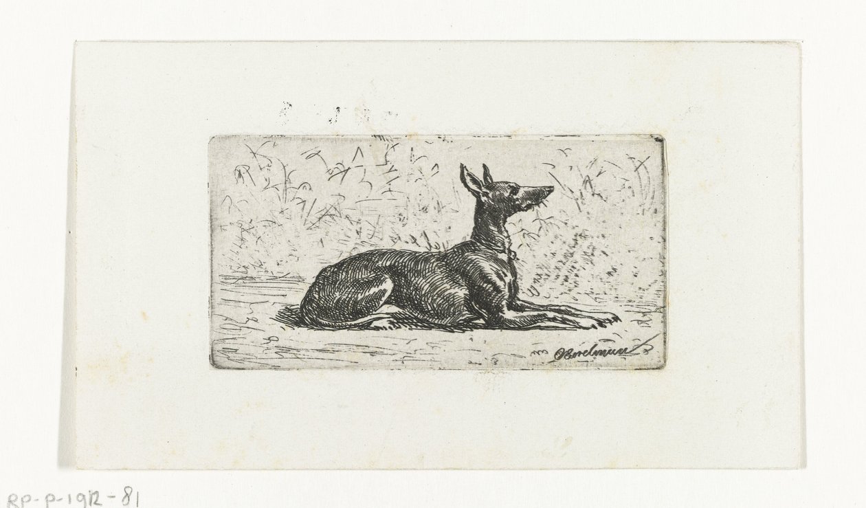 Lying Greyhound by Otto Eerelman