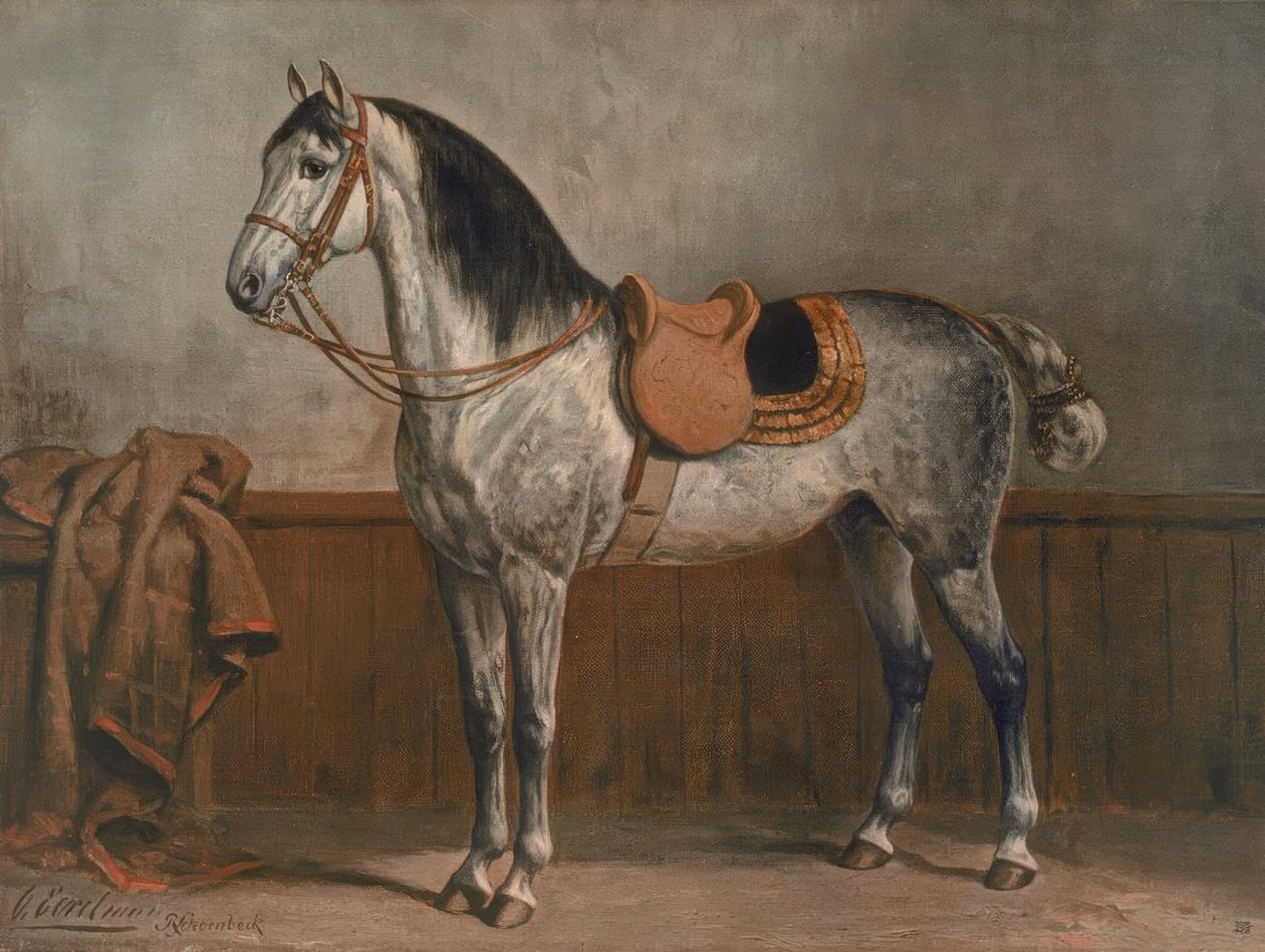 Lipizzaner by Otto Eerelman