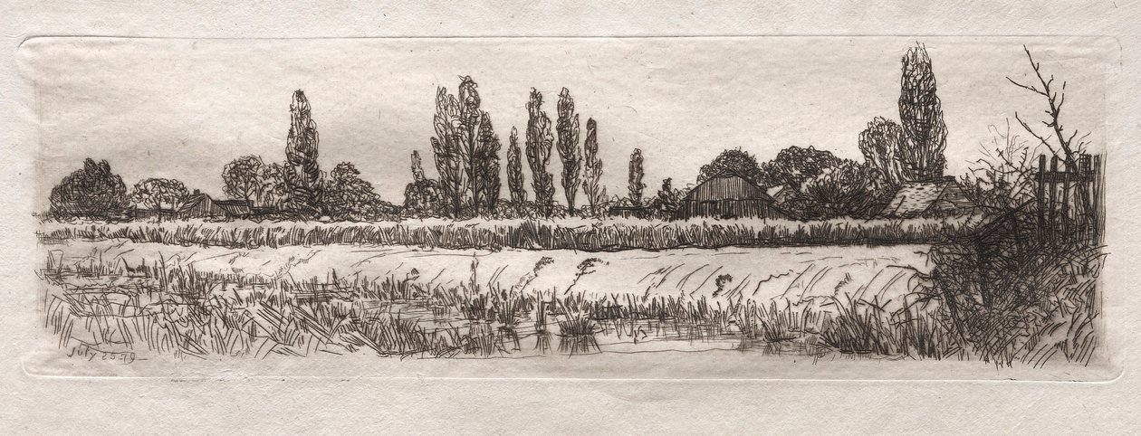 Cornfield by Otto H. Bacher