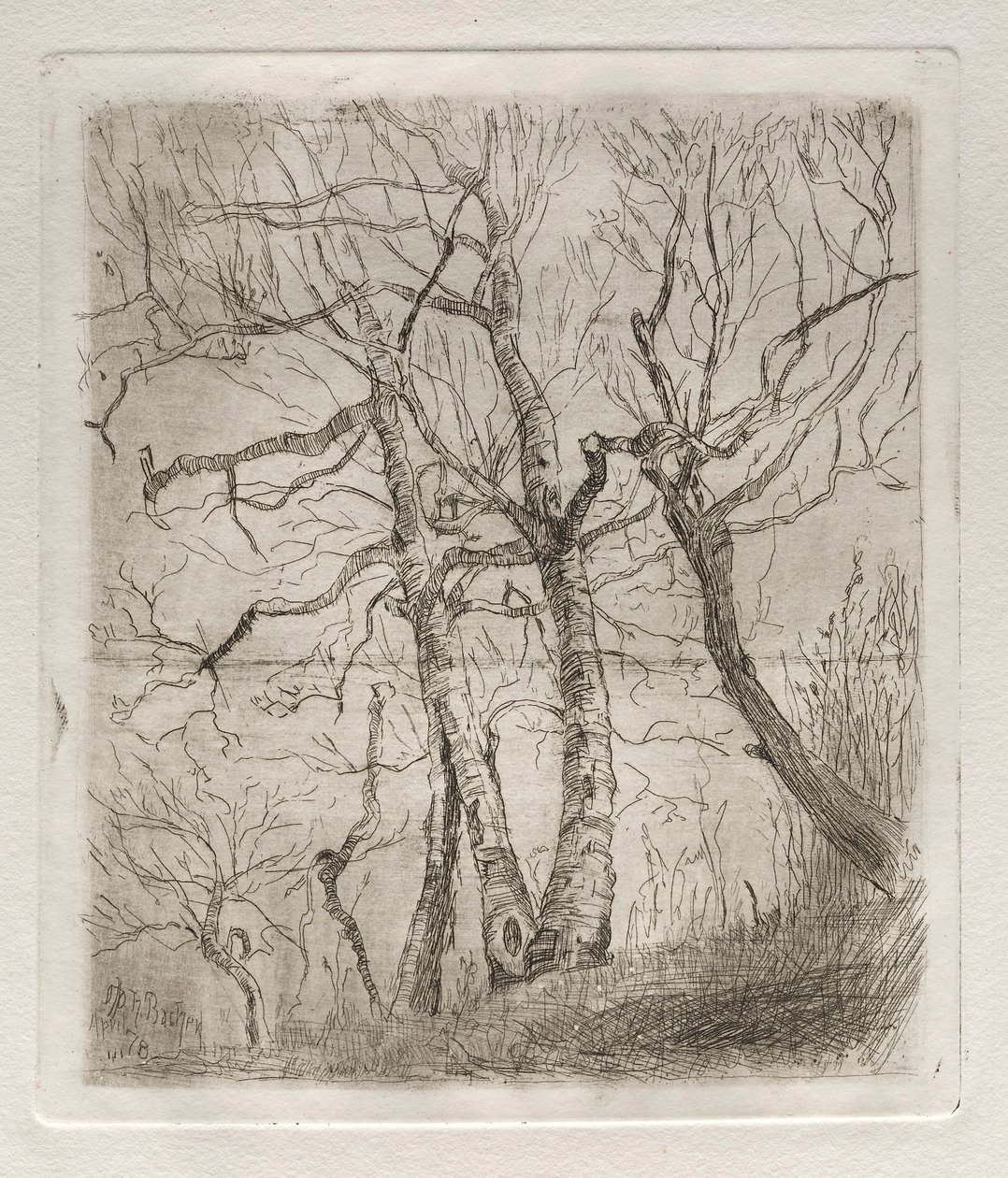 Trees by Otto H. Bacher