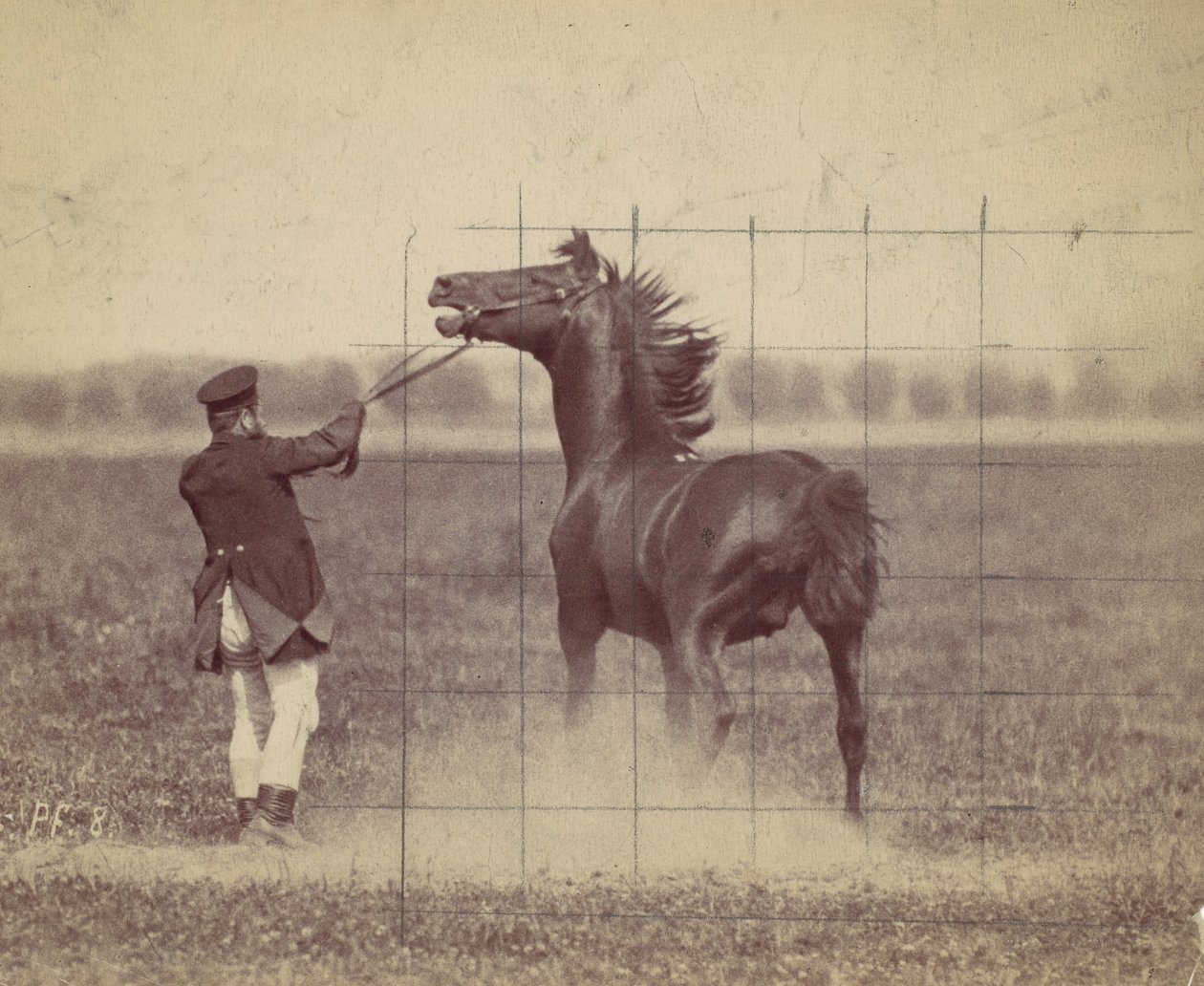 Horse by Ottomar Anschütz