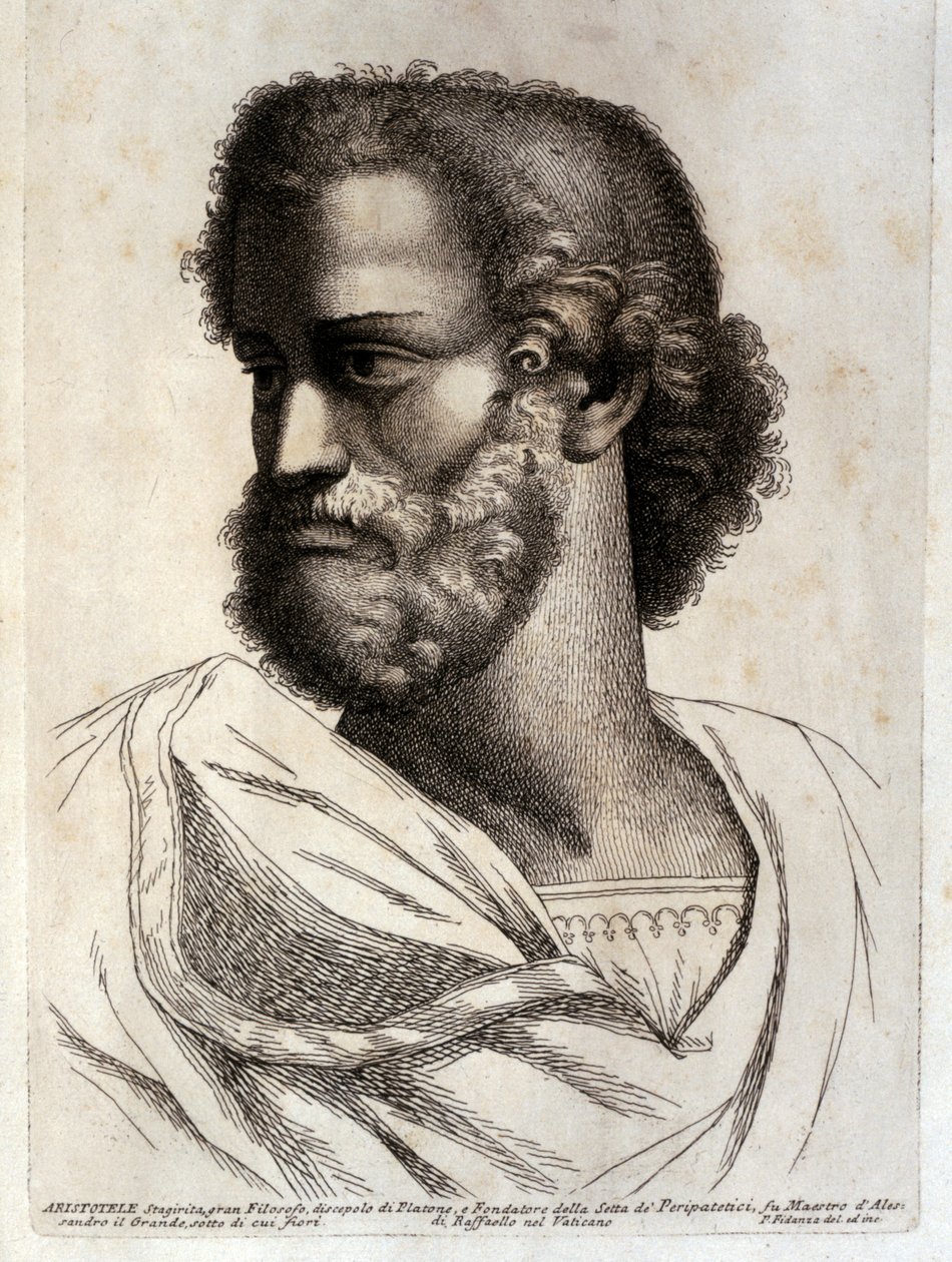 Aristotle by Paolo Fidanza