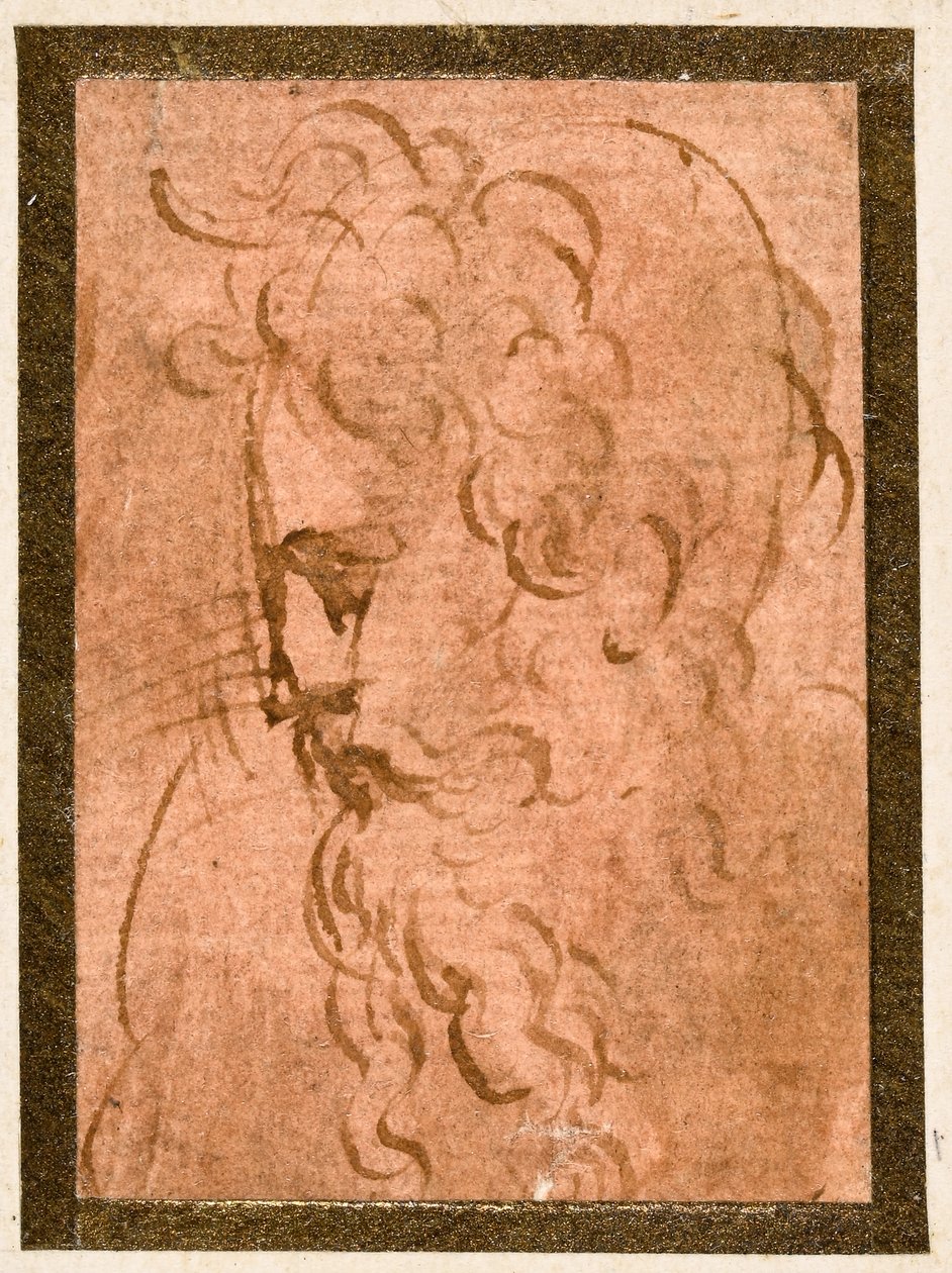 Male Head by Parmigianino