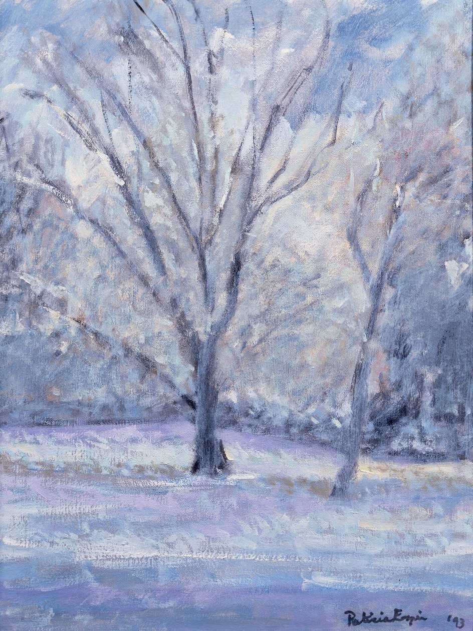 Snow Scene by Patricia Espir