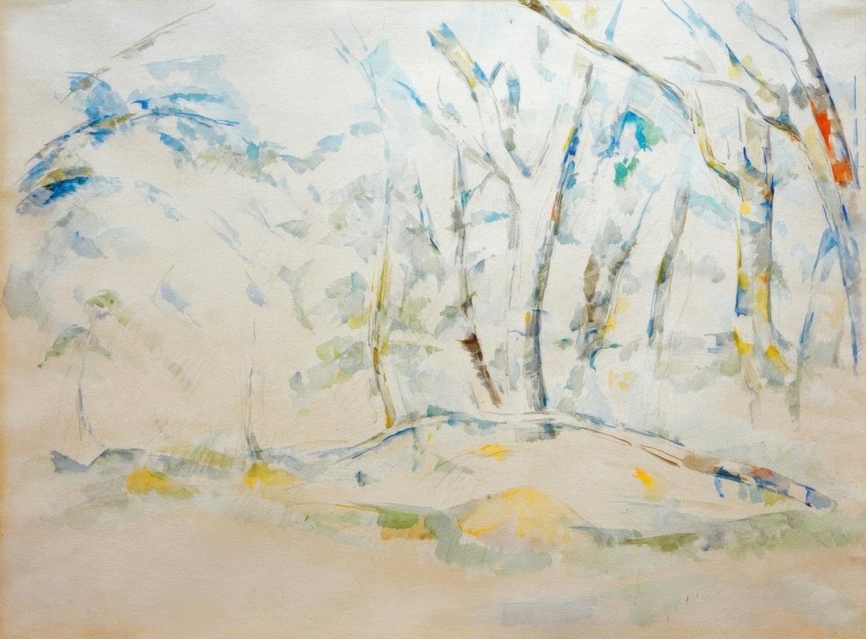 Undergrowth by Paul Cézanne