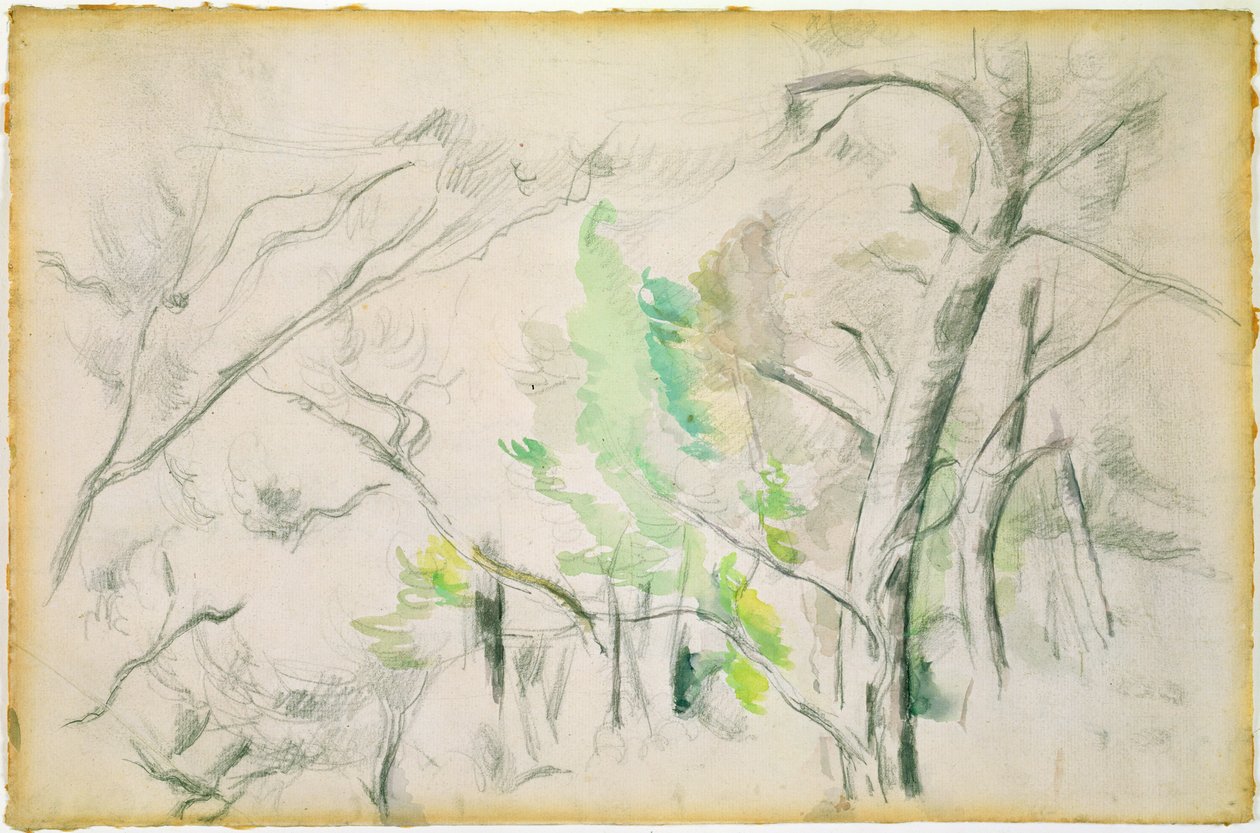 Woodside by Paul Cézanne