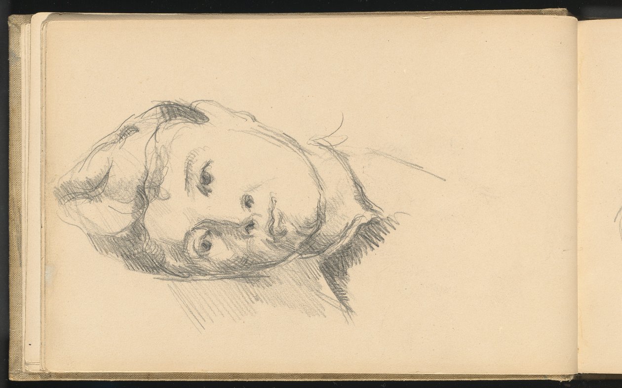 Madame Cézanne by Paul Cézanne