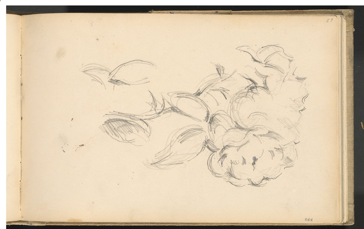 Peonies by Paul Cézanne
