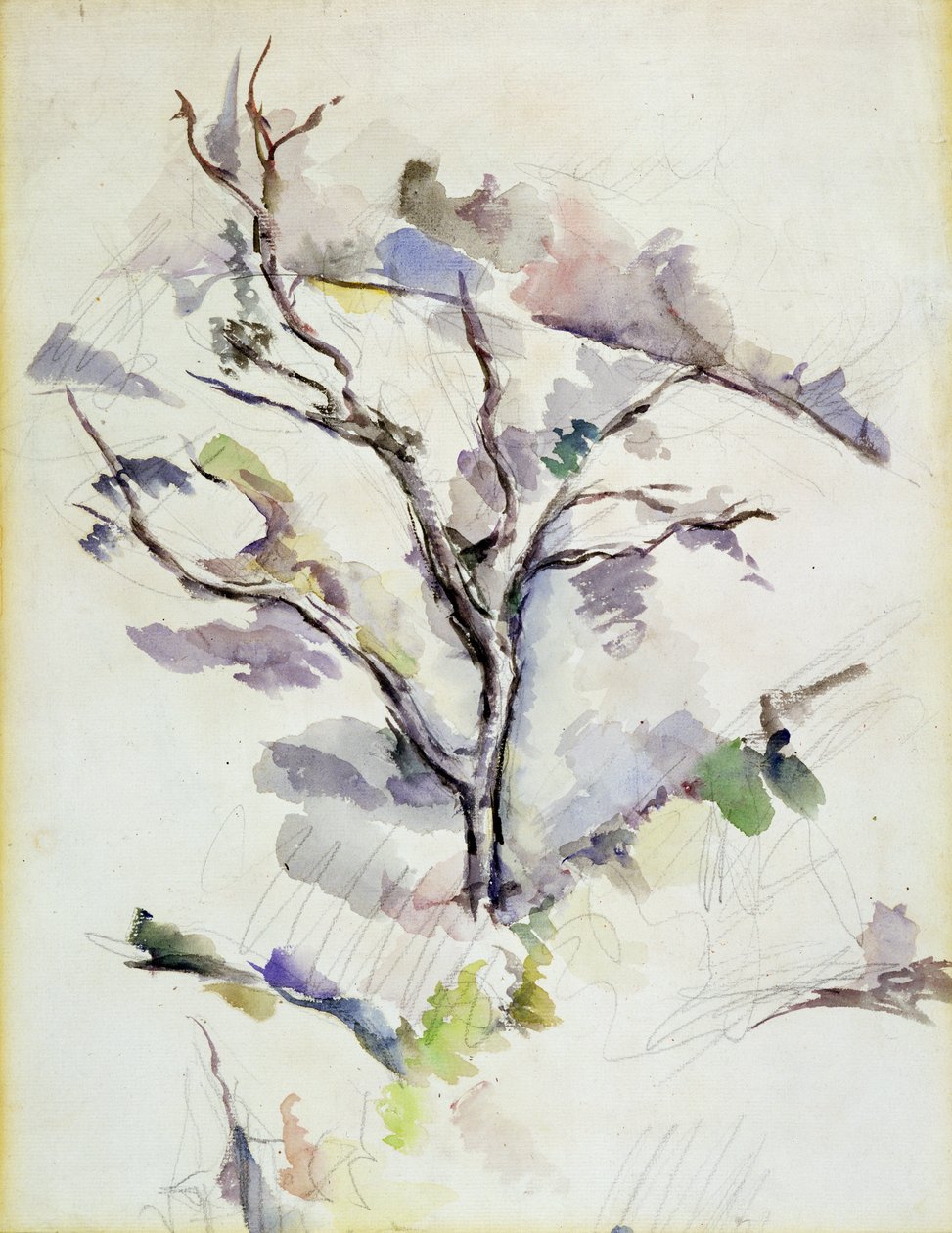 The Oak by Paul Cézanne