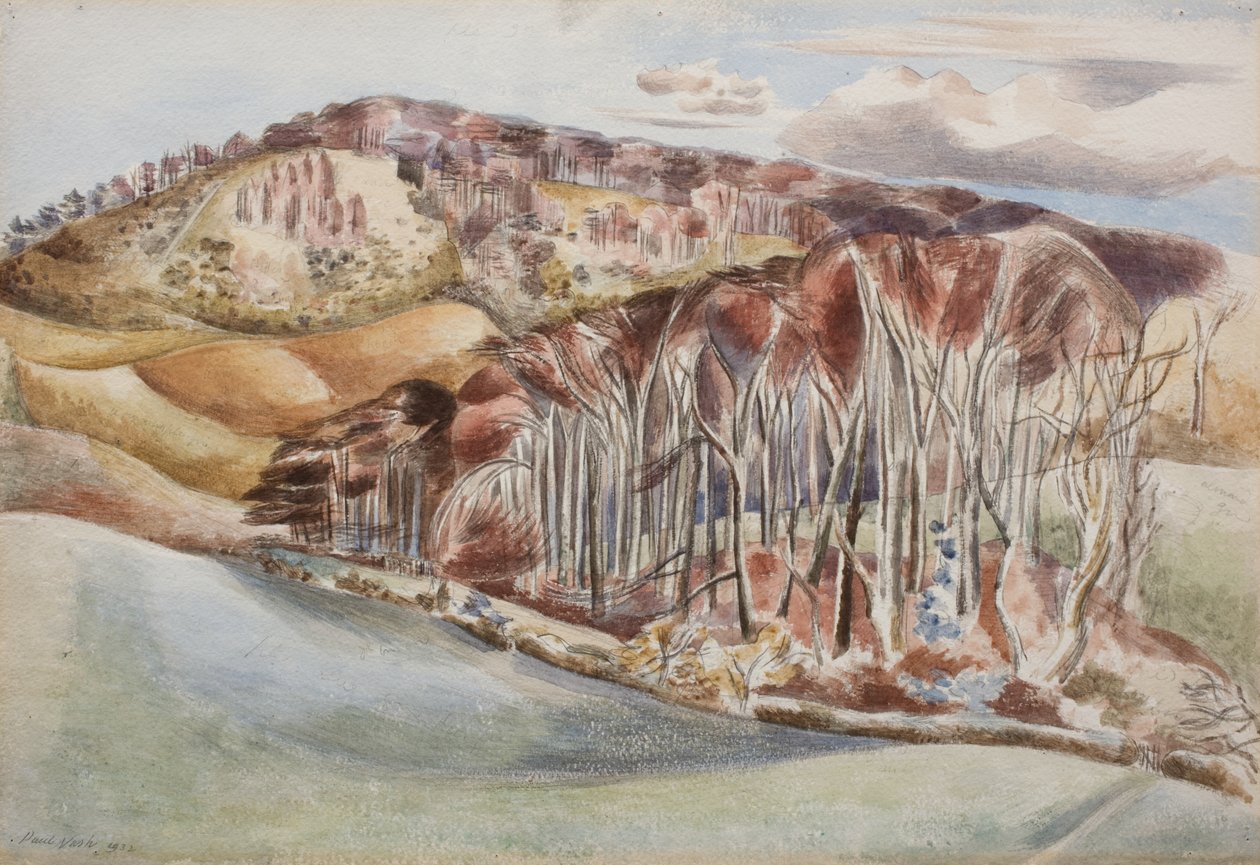 Wood and Hill by Paul Nash