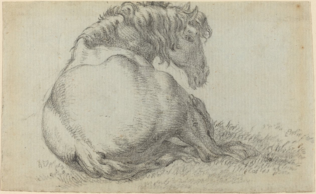Resting Horse by Paulus Potter