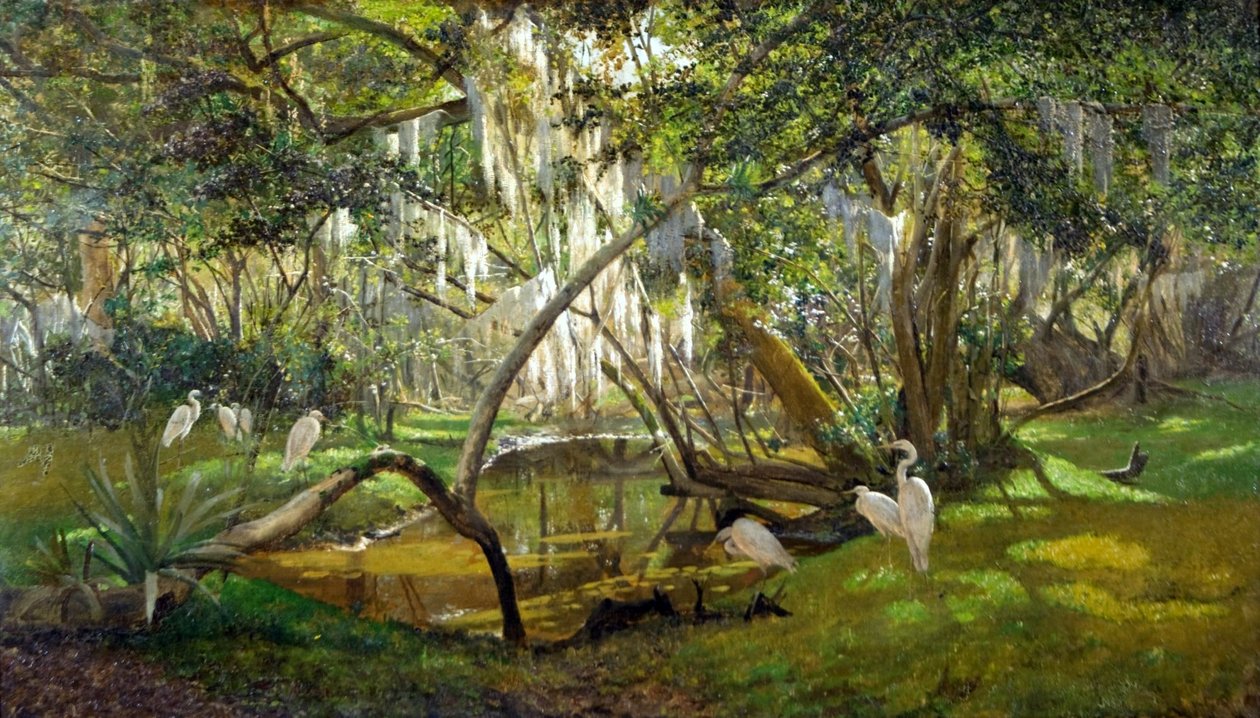 Herons by Pedro Weingärtner
