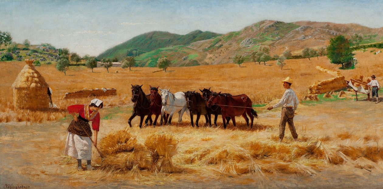 Harvest in Anticoli by Pedro Weingärtner