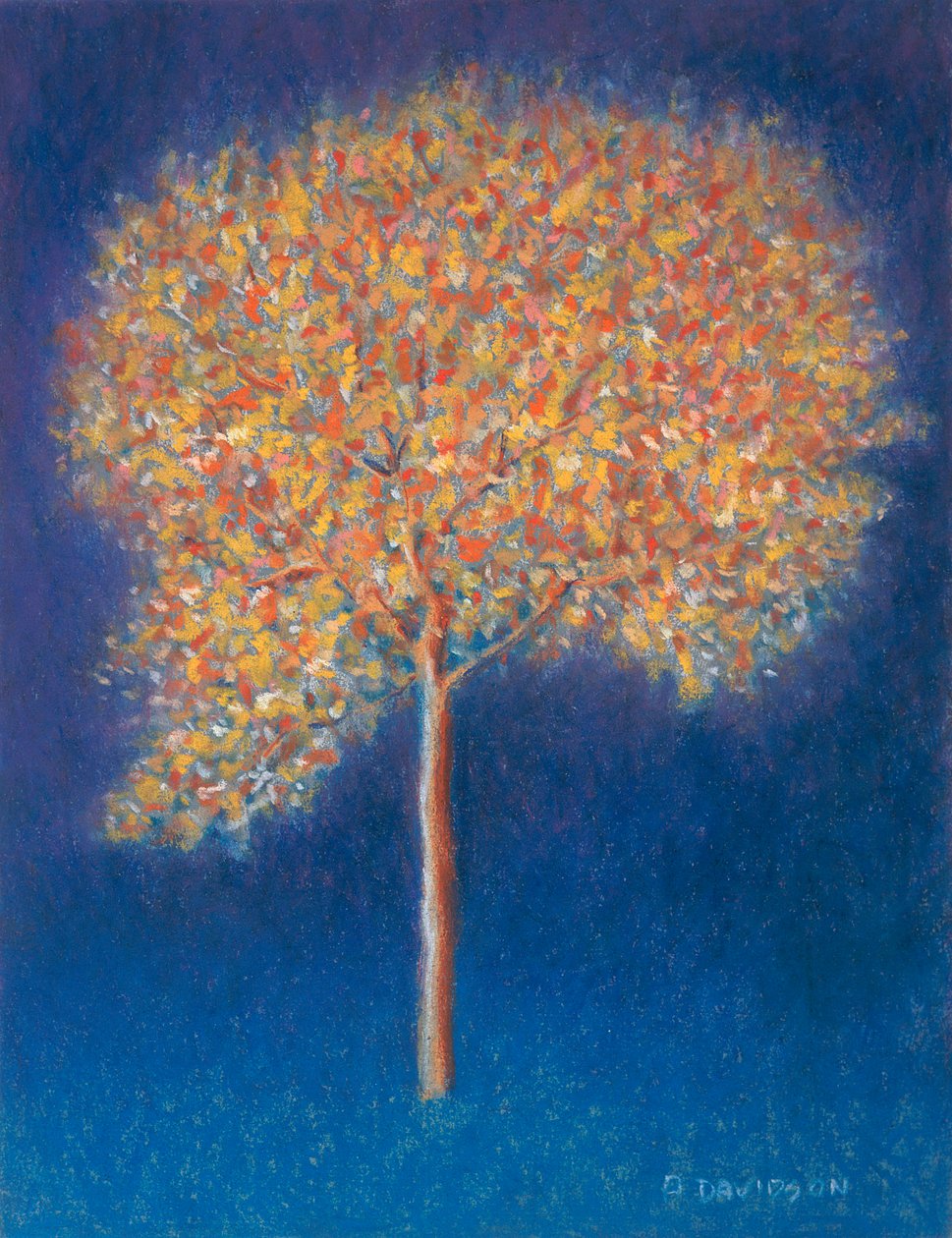 Tree in Blossom, 1997 by Peter Davidson