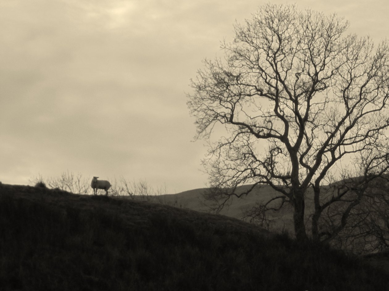 Kintyre... Plus.9 by Peter McClure