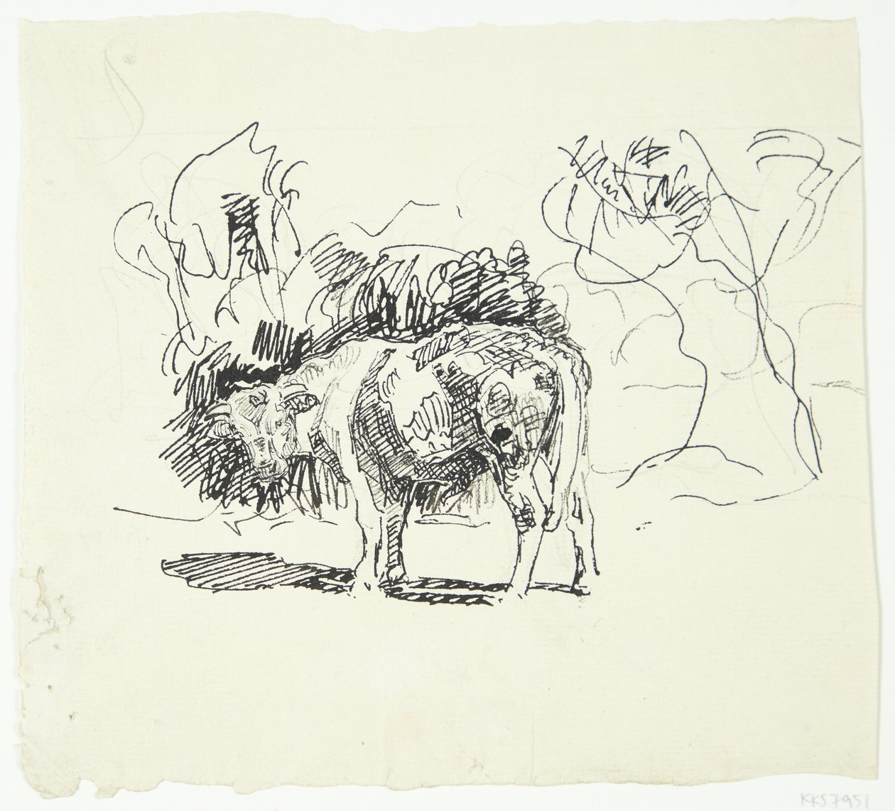 Standing Bull by Peter Hansen