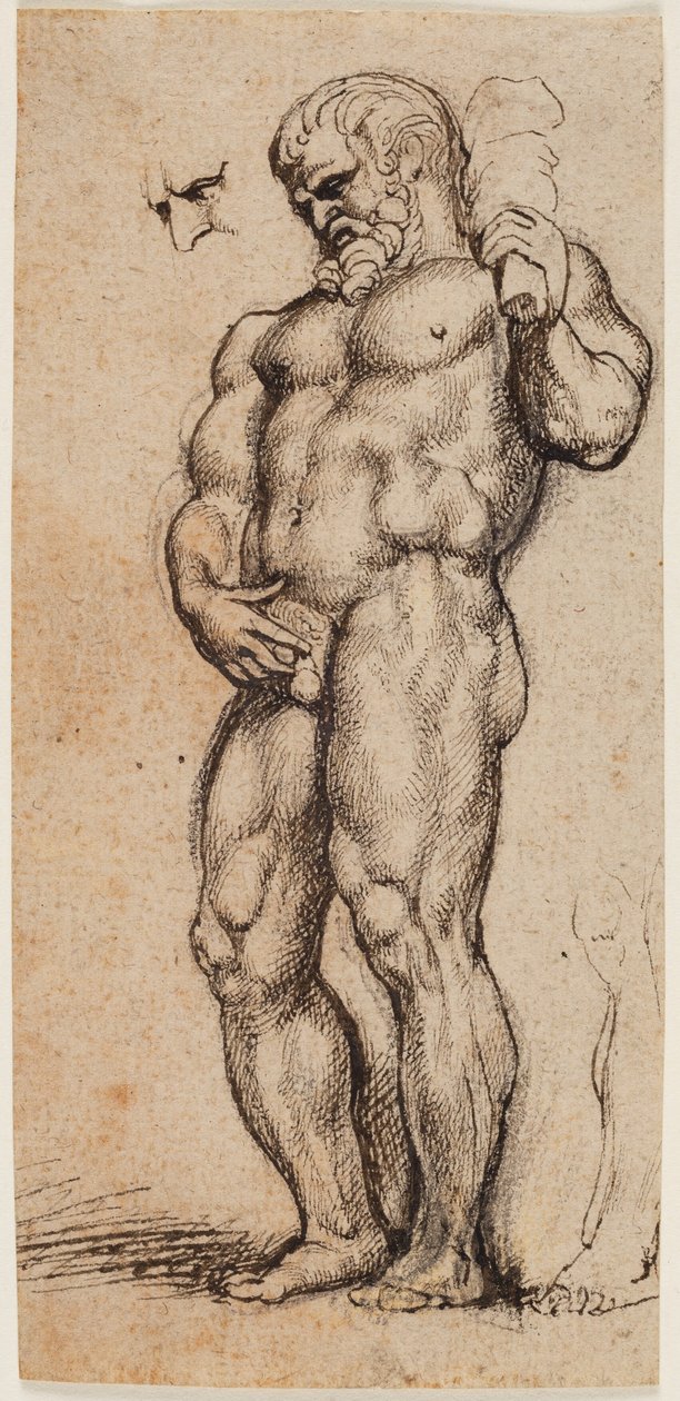 Hercules by Peter Paul Rubens