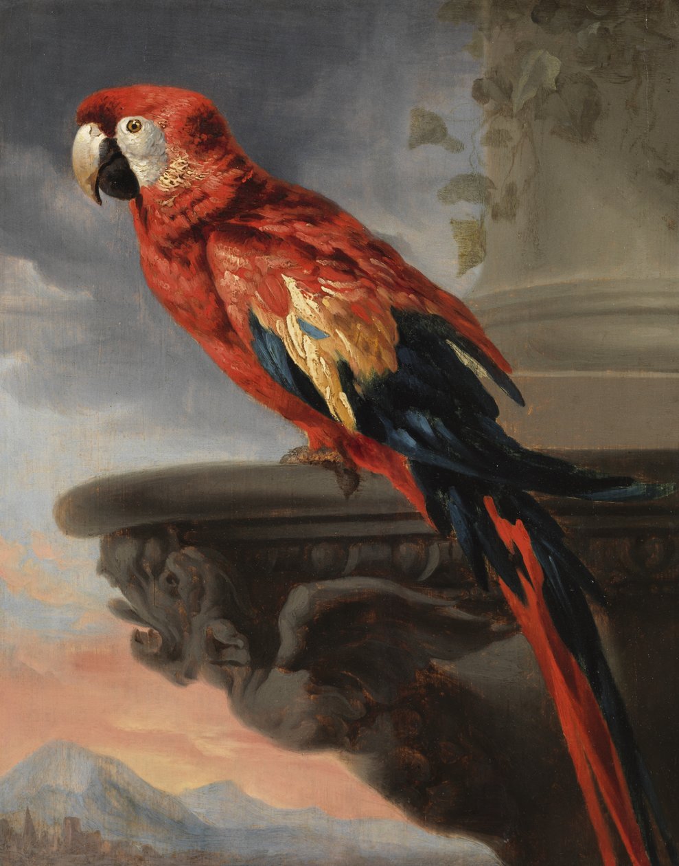 Parrot by Peter Paul Rubens
