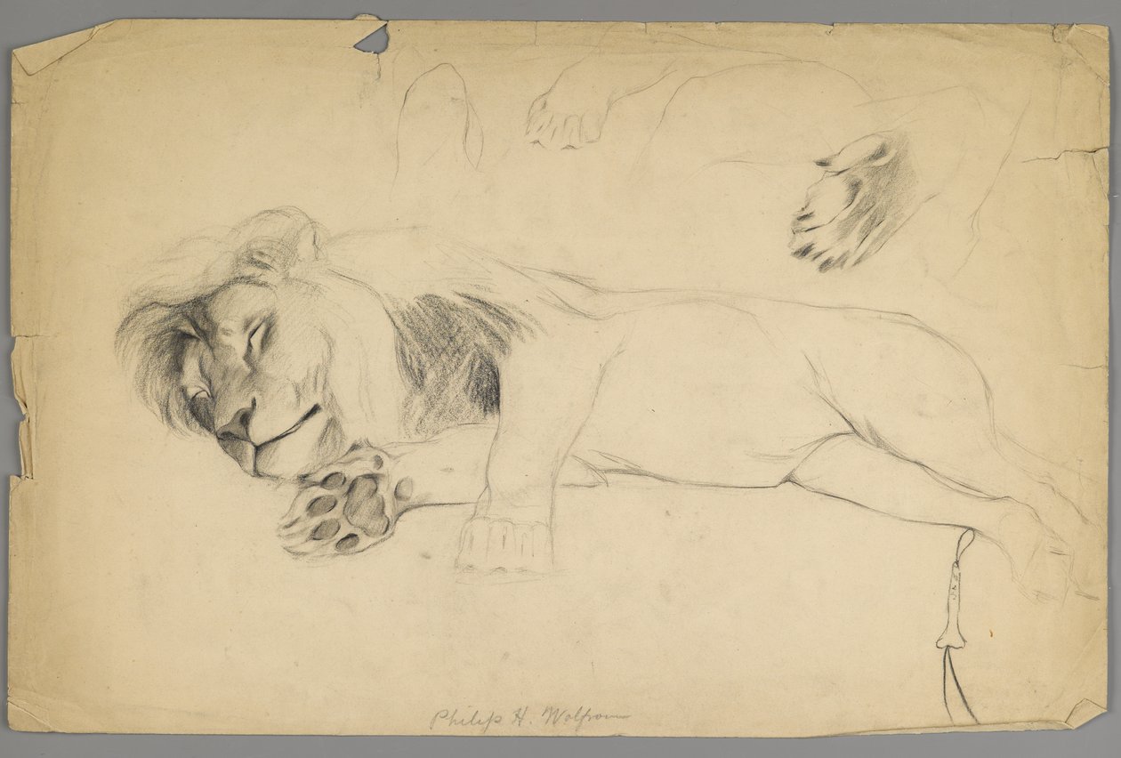 Sleeping Lion by Philip H. Wolfrom