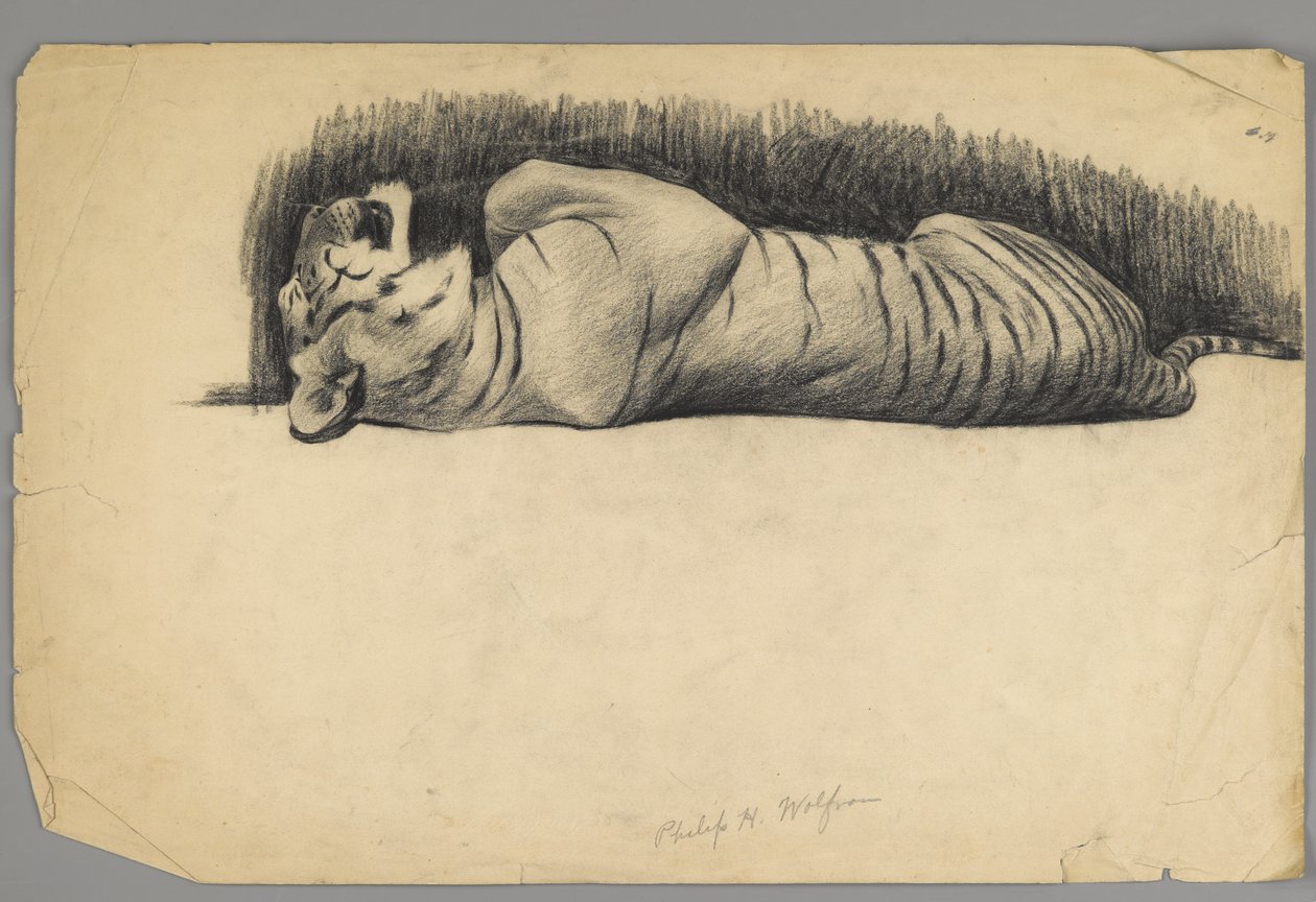 Sleeping Tiger by Philip H. Wolfrom
